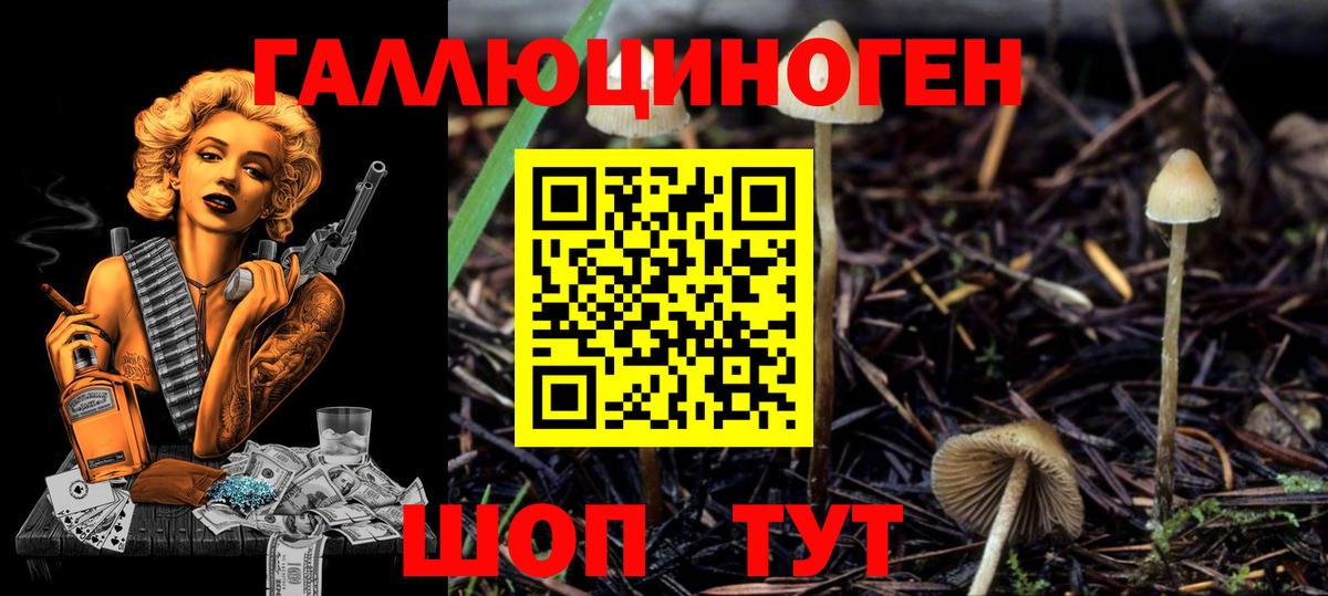 Галлюциногенные грибы прущие грибы  купить закладку  Янаул  Вход с VPN 